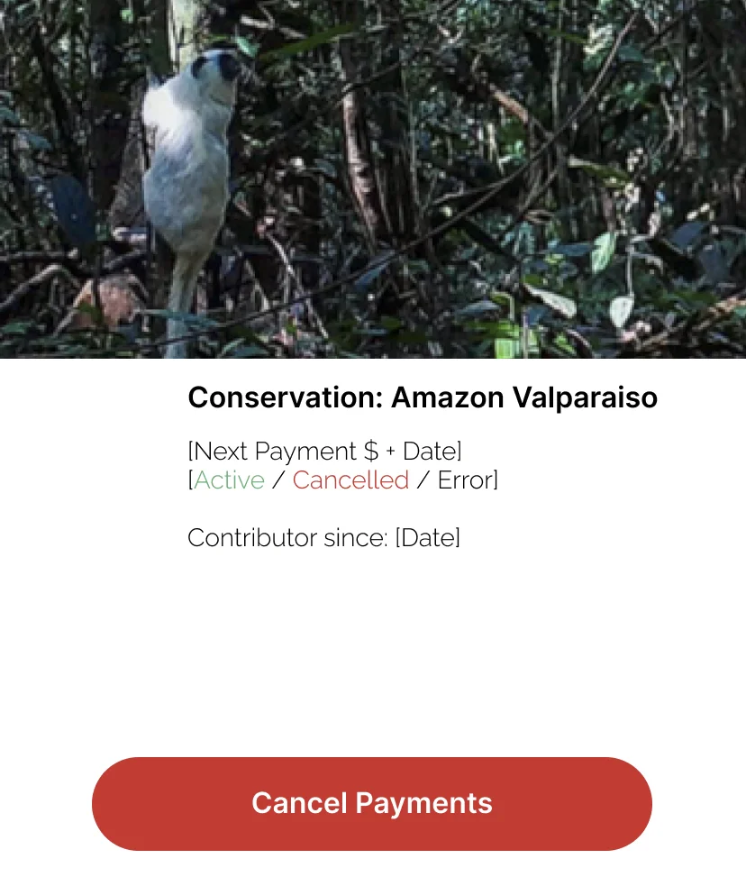 Engineering handoff mockup for the Amazon Valparaiso subscription card, using bracketed spec shorthand — [Next Payment $ + Date] and [Active / Cancelled / Error] — paired with a separate page of written notes for the engineer.