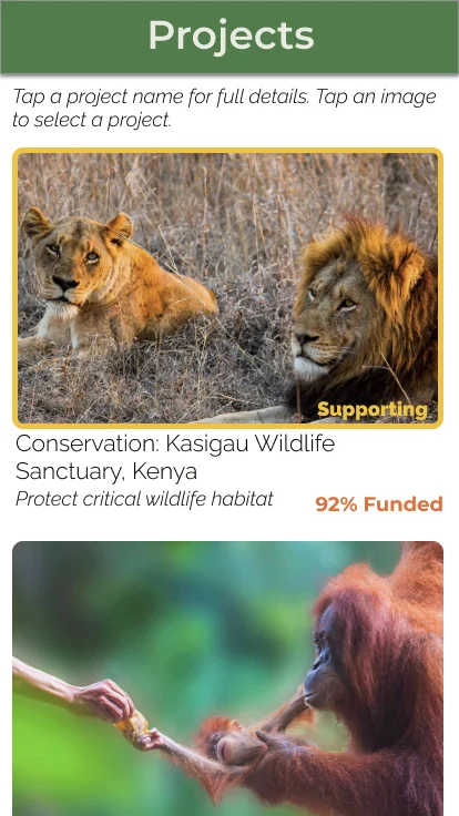 Original Projects list with two large project cards — Save the Kasigau Lion and the Rimba Raya orangutan reserve — stacked vertically with limited visible options.