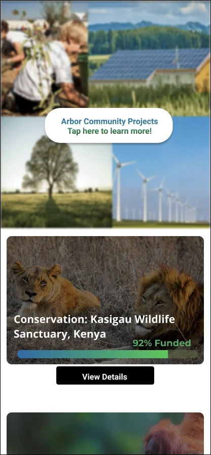 Engineering handoff mockup for project discovery. A photo-collage banner reads 'Arbor Community Projects, tap here to learn more' above the Kasigau Wildlife Sanctuary card at 92% funded.